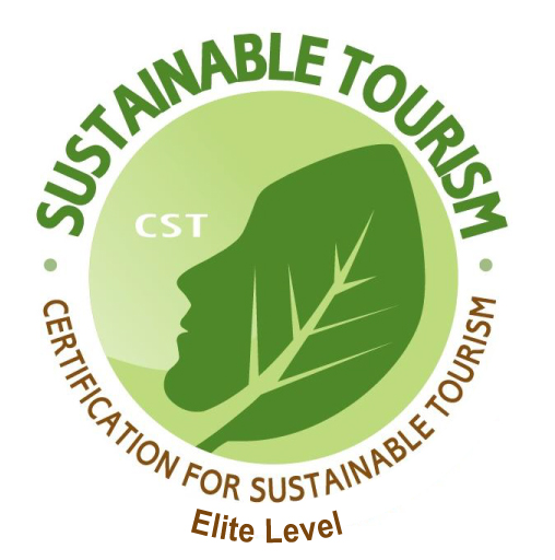 Sustainability CST Elite Level